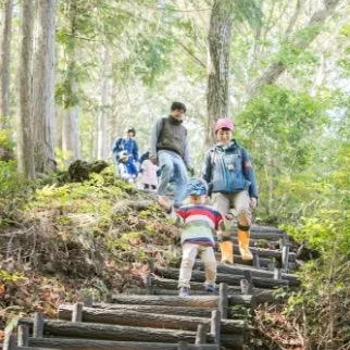 奥伊勢の清流で楽しむ川遊び