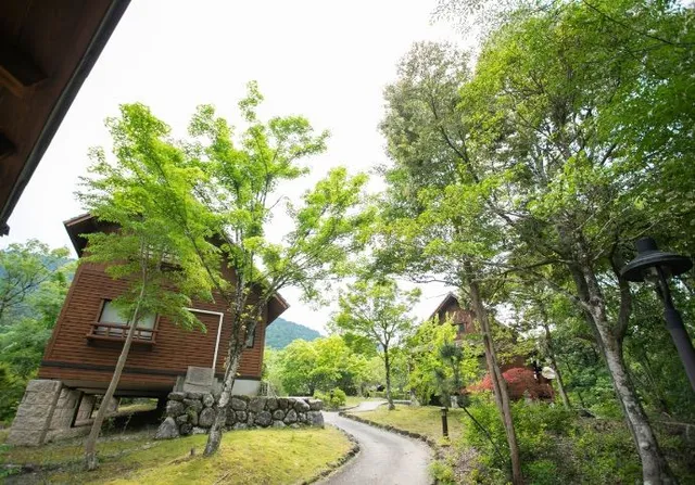 森の客室(4)