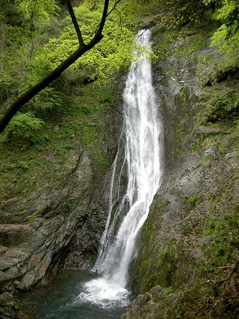滝頭不動の滝