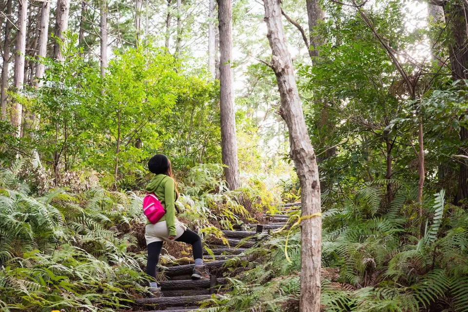 総門山登山口