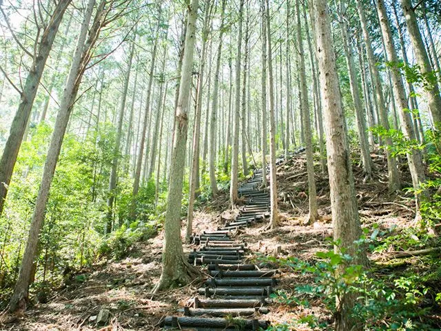 北総門山登山口