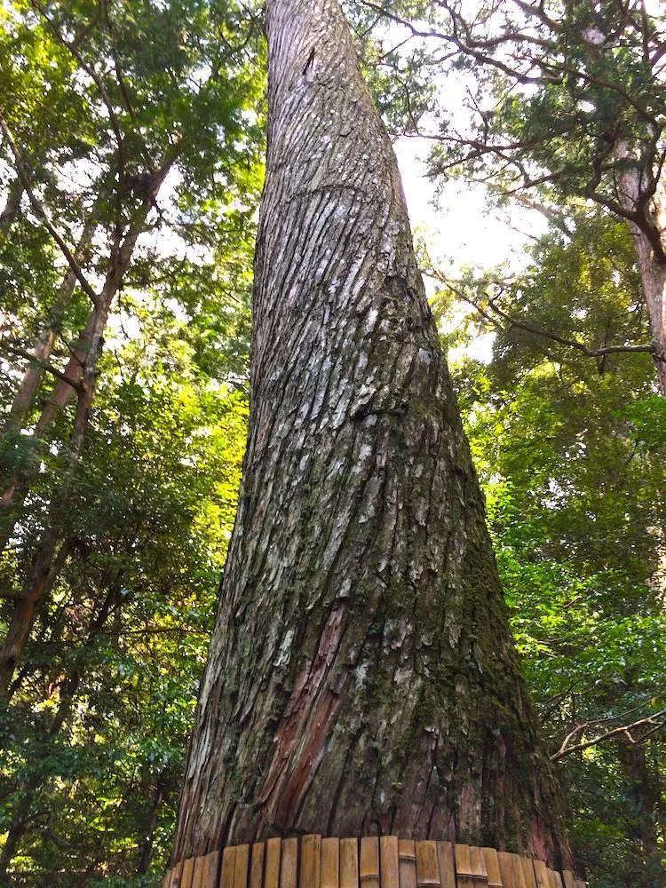 瀧原宮