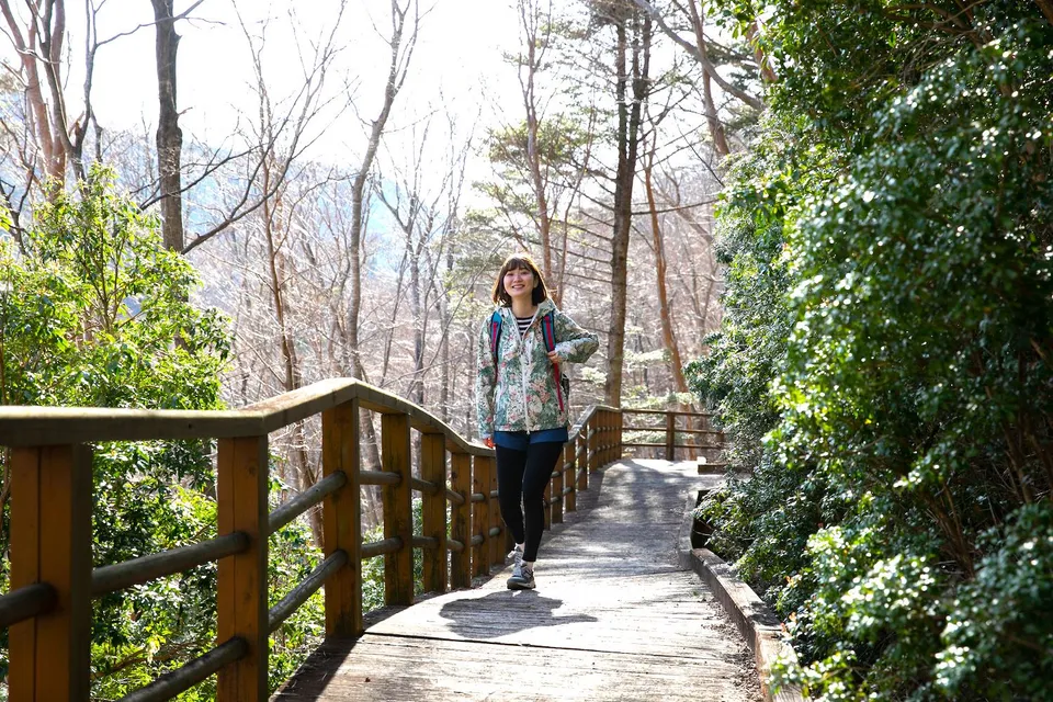 北総門山 木道
